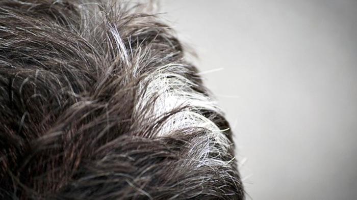 rambut beruban